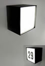 Mondo Boxo Thumbnail