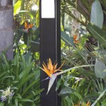 ned bollard web