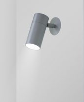 Tullyspot_wall_silver_web